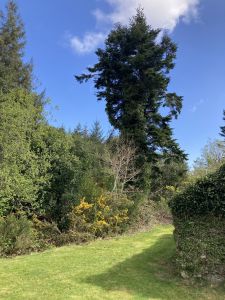 Doon Cottage Images 20250421 103144535 i os authentic Irish cottage Kerry Way Tahilla