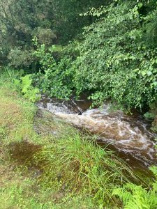 Doon Cottage Images doon cottage stream authentic Irish cottage Kerry Way Tahilla