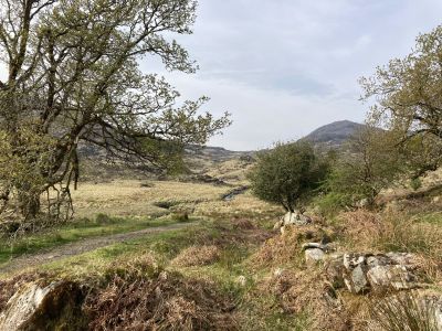 Doon Cottage Images old kenmare road2 authentic Irish cottage Kerry Way Tahilla